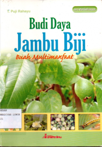 Image of Budi Daya jambu biji buah multimanfaat