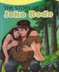 Image of The Story Of Joko Bodo